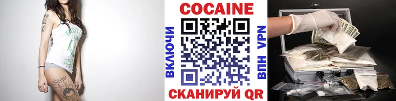 Купить закладки  Новоржев  Кокаин Fish Scale 