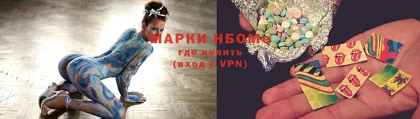 дмт Гусев