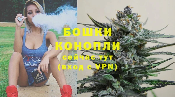 дмт Гусев