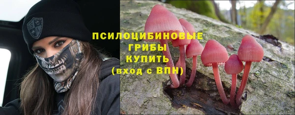 дмт Гусев
