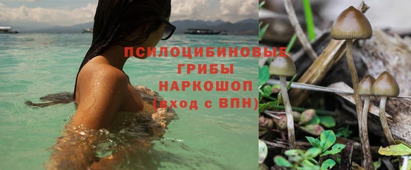 альфа пвп Гусь-Хрустальный