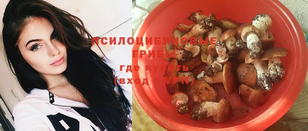 дмт Гусев
