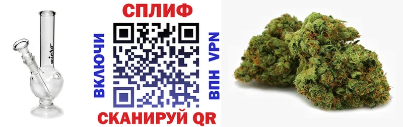 Бошки марихуана сатива  Купить закладки  Новоржев 